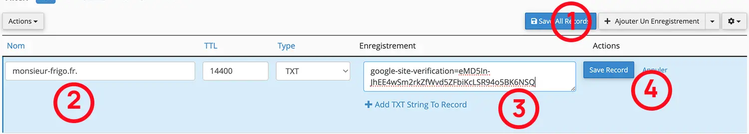 enregistrement TXT zone dns