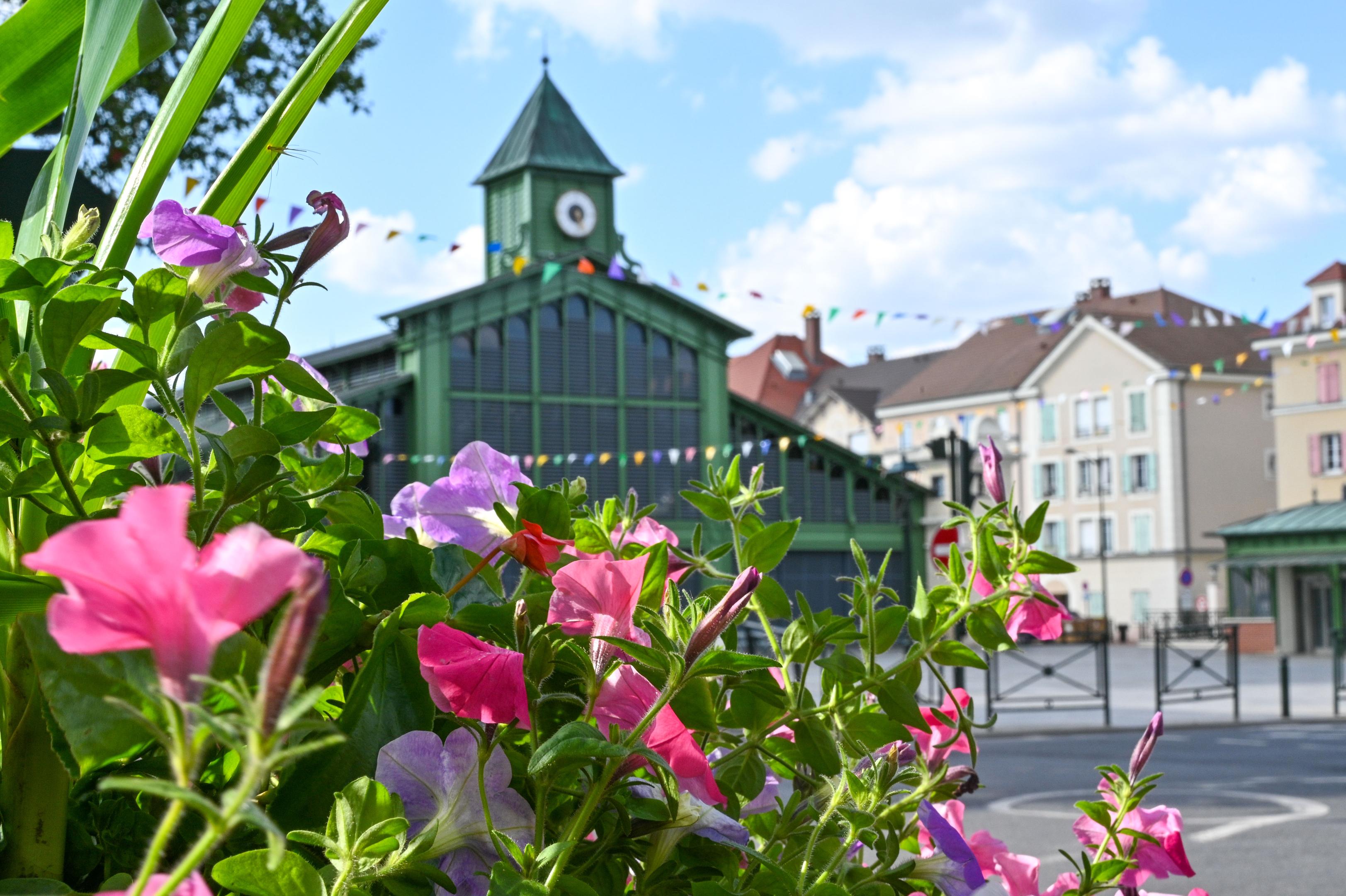 Chasseur immobilier Le Plessis-Robinson