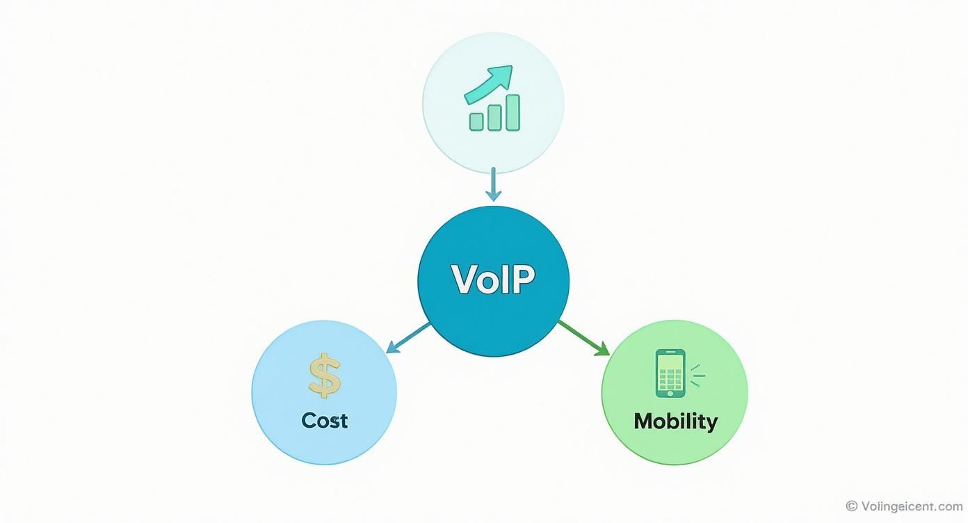 Infographic about voip services in canada