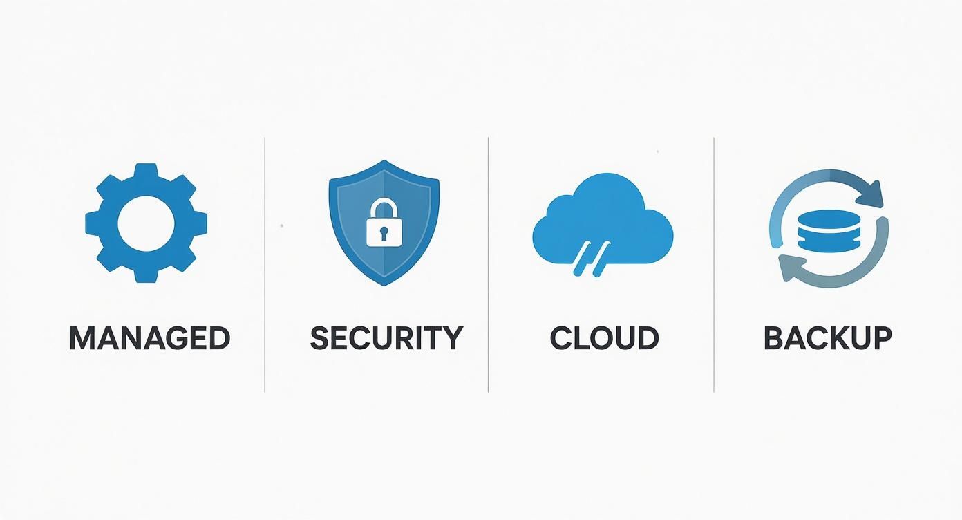 Infographic about small business it support toronto