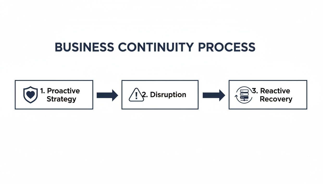 Flowchart illustrating the business continuity process with steps: Proactive Strategy, Disruption, and Reactive Recovery.