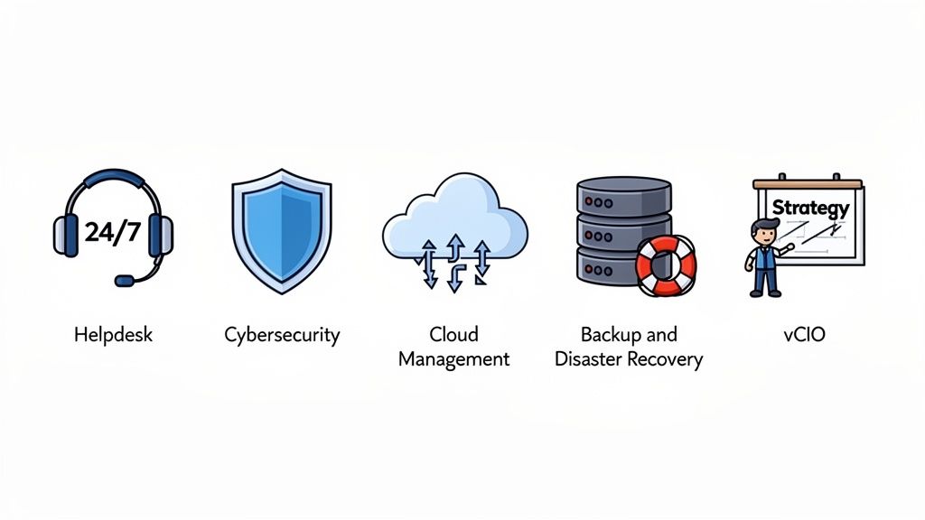 Icons representing Helpdesk, Cybersecurity, Cloud Management, Backup, Disaster Recovery, and vCIO services.