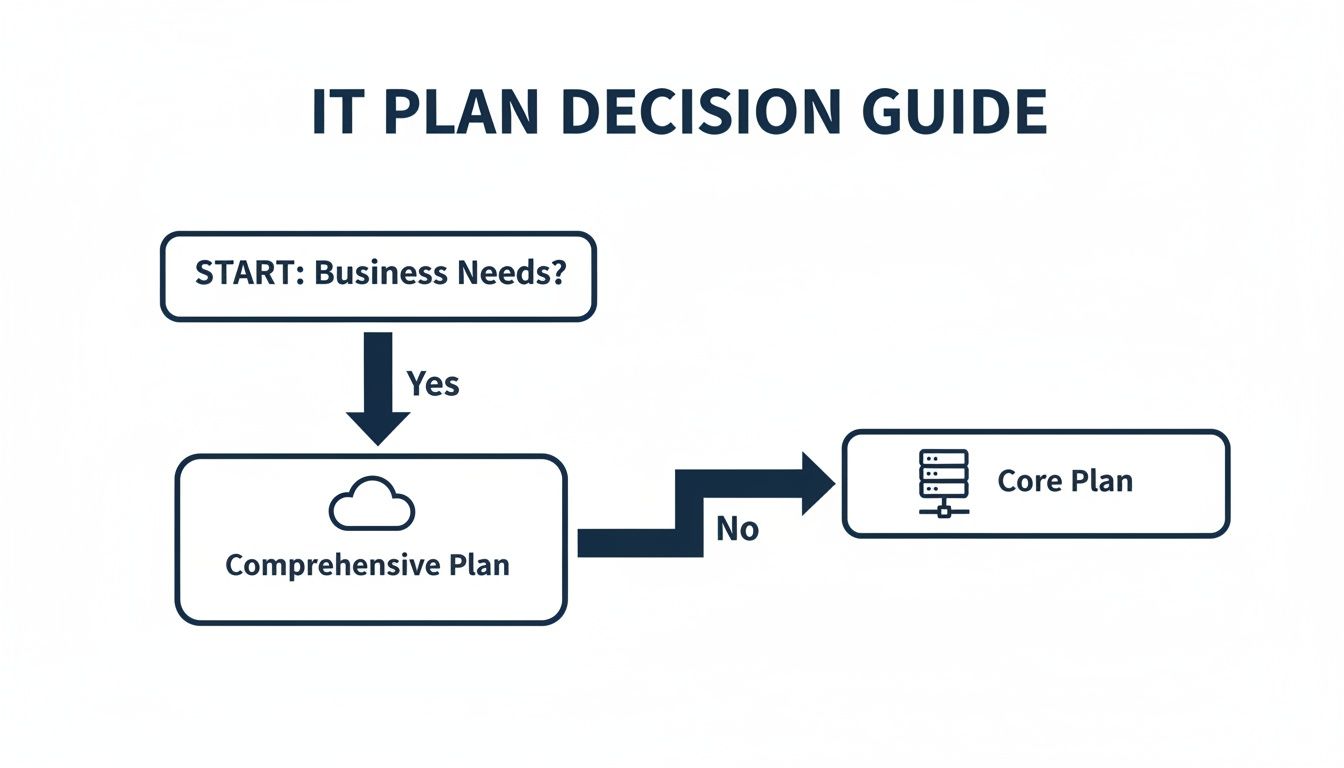 Flowchart illustrating an IT plan decision guide: starting with business needs, leading to comprehensive or core plans.