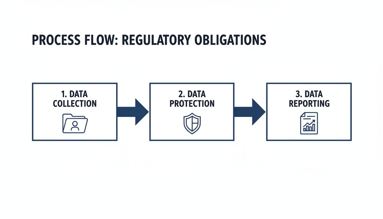 Process flow chart outlining three regulatory obligation steps: data collection, protection, and reporting.