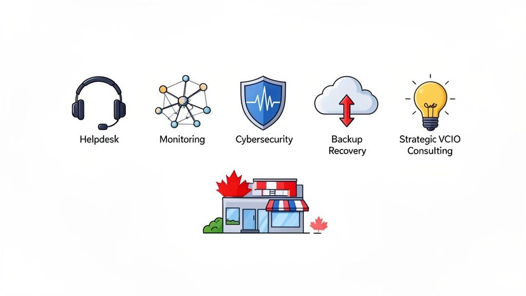 Icons representing managed IT services: helpdesk, monitoring, cybersecurity, backup recovery, and strategic VCIO consulting for businesses.