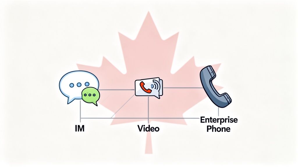 Diagram showing instant messaging, video, and enterprise phone services interconnected against a Canadian maple leaf background.