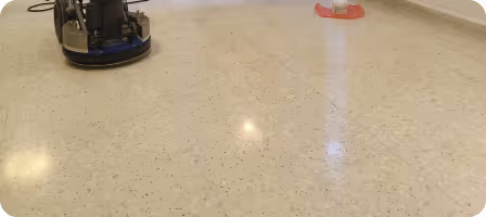 car exterior after washing