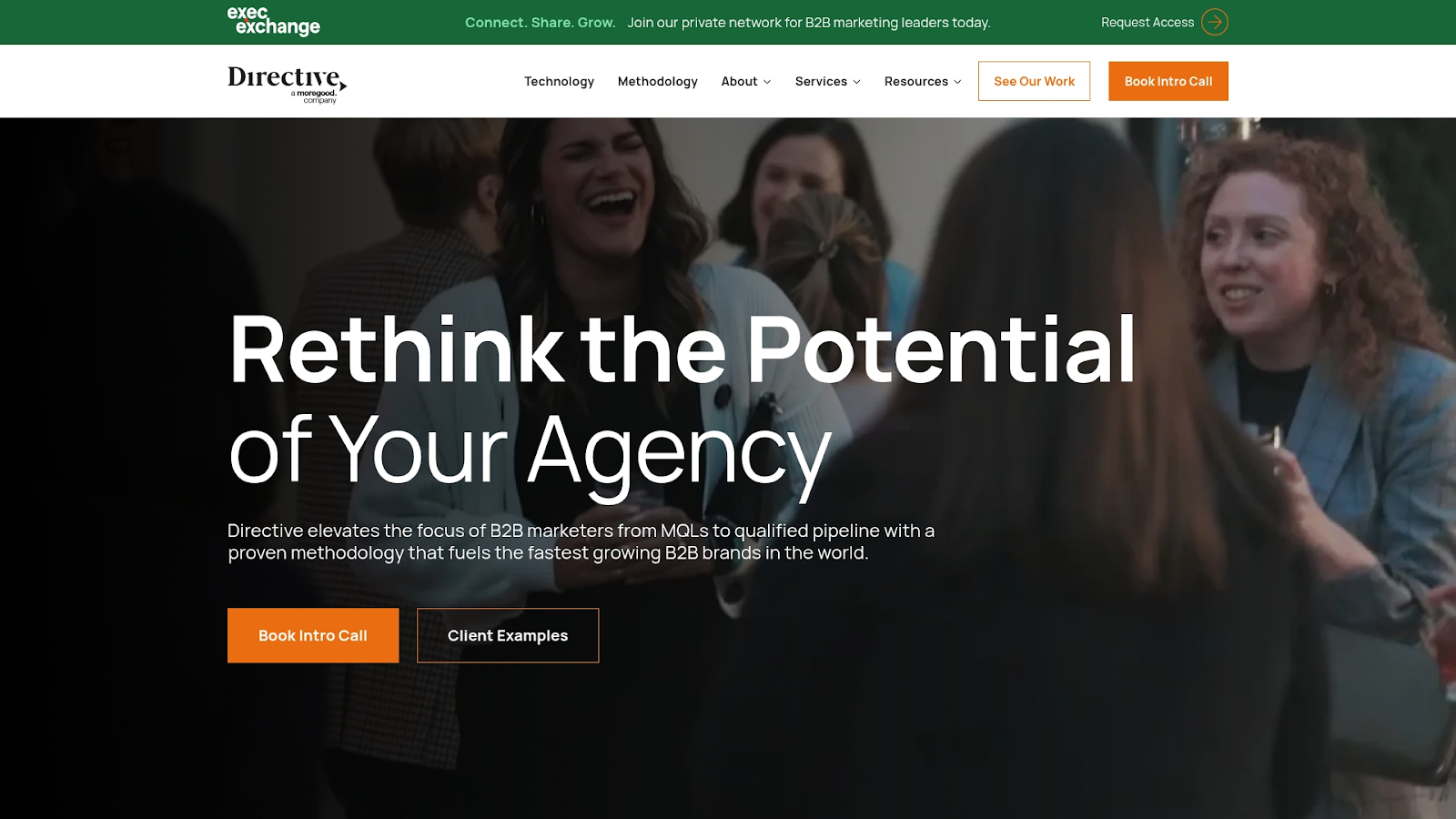 Directive Consulting Screenshot