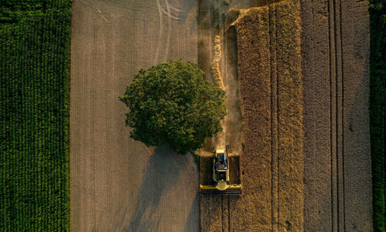 What Is Tax Loss Harvesting?