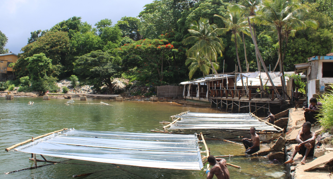 Newsletter August 2025