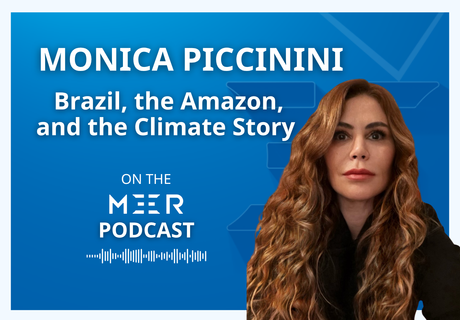 MEER Podcast - Monica Piccinini