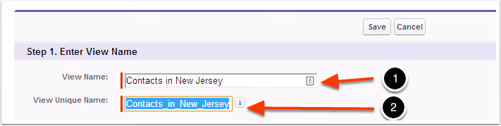 Entering a view name in Salesforce