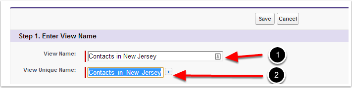 Entering a view name in Salesforce