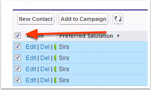 Selecting records to mass update in Salesforce