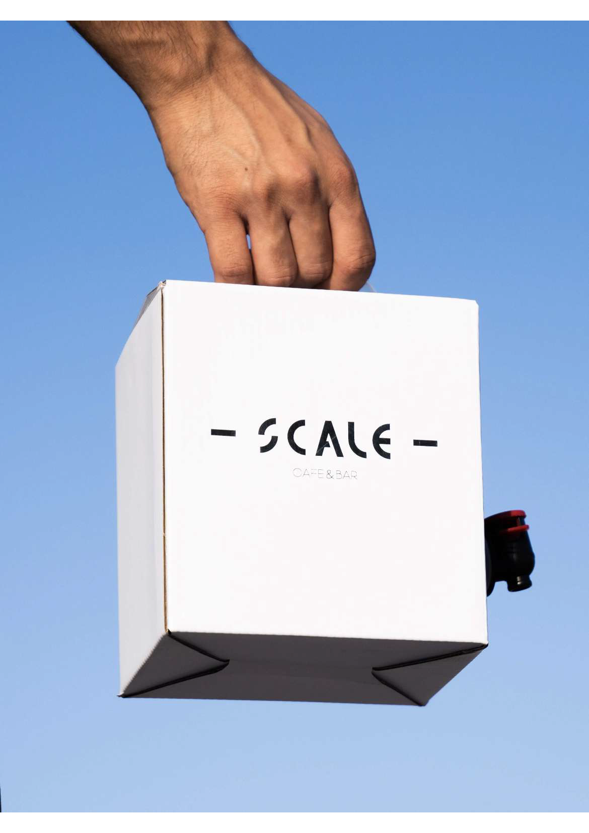 scale