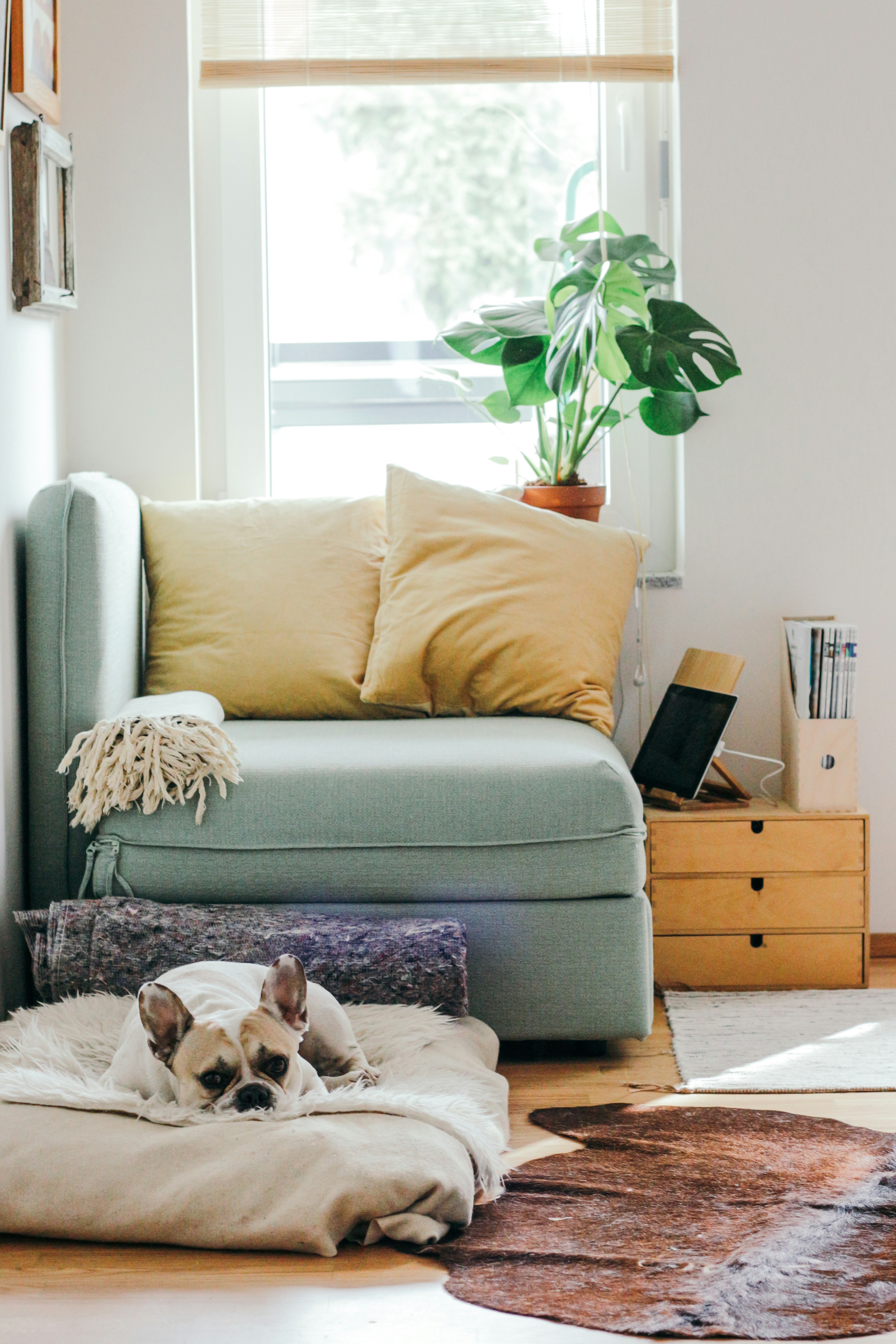 First Home Buyer Guide: What Lenders Really Assess Beyond the Deposit