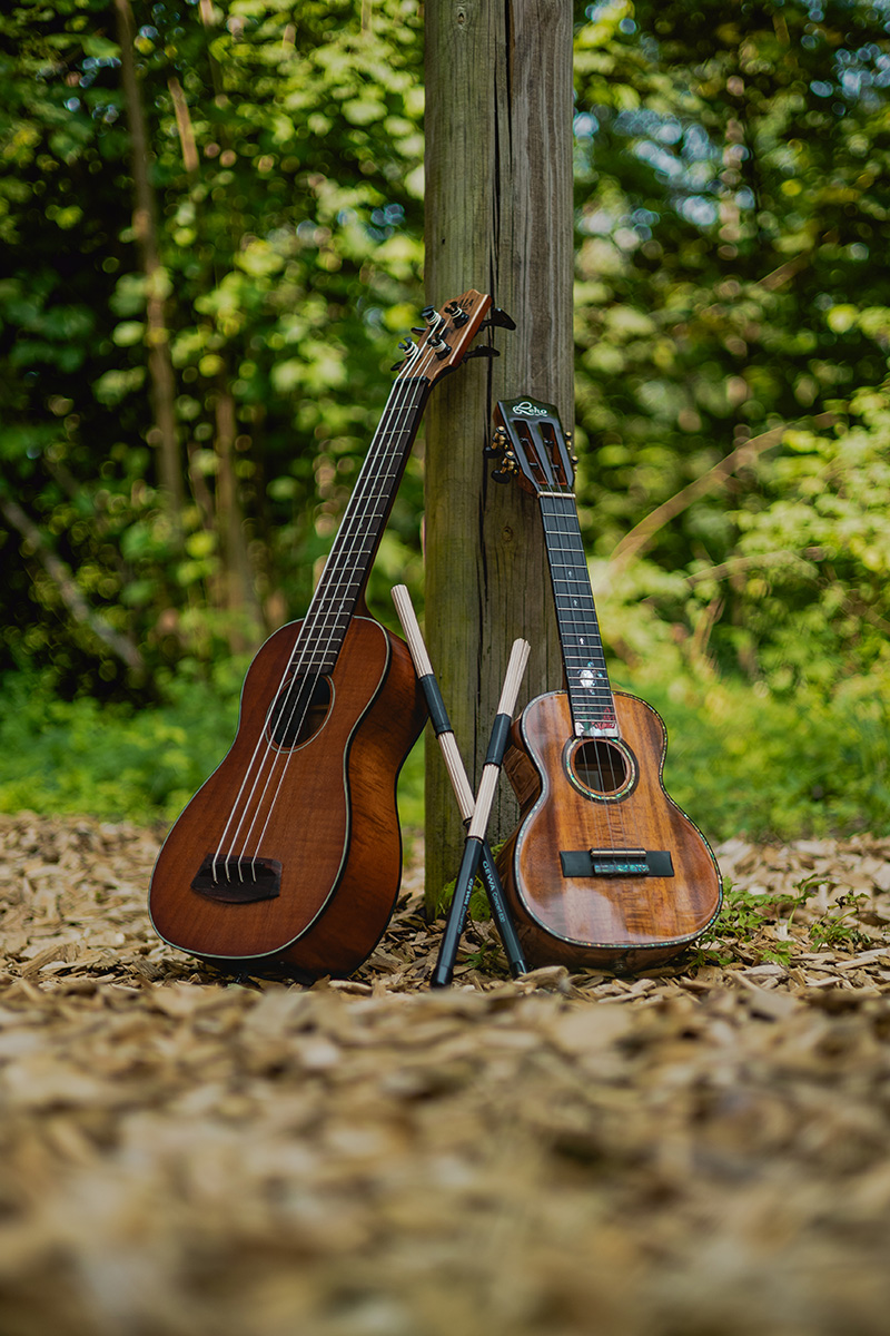 Hawaii Ukulele Band Havibes