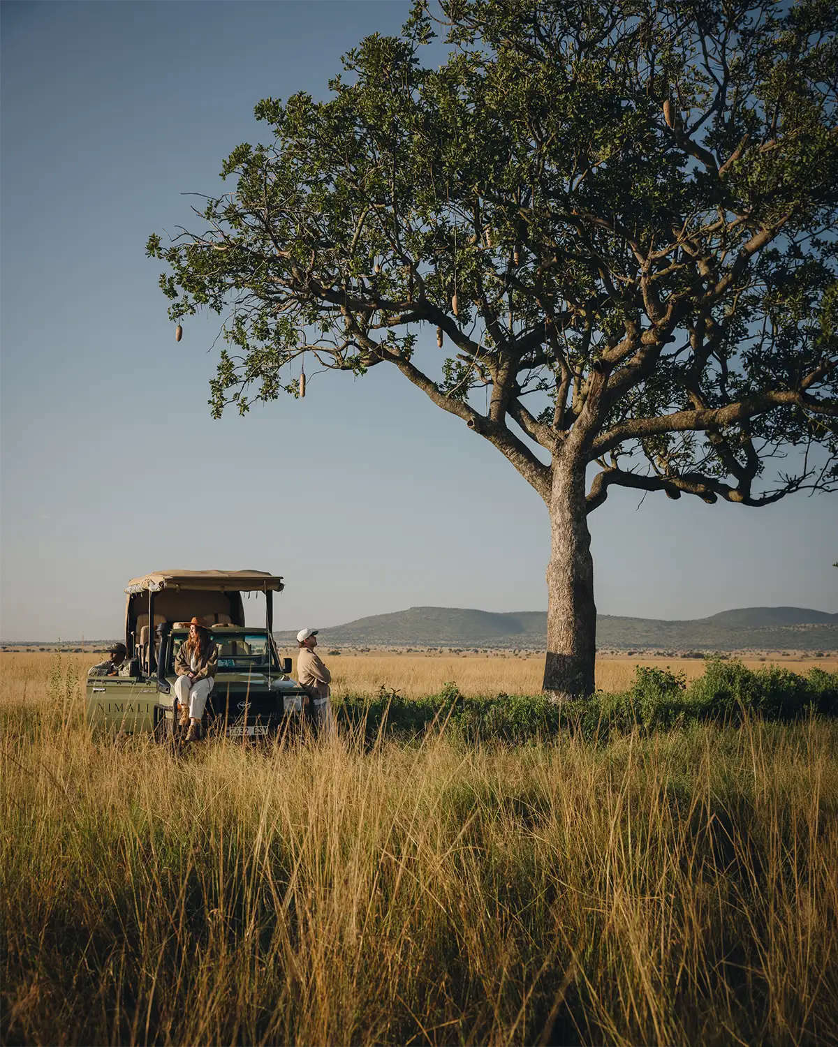 Woman wearing a hat and scarf looking through binoculars on a bright safari day.