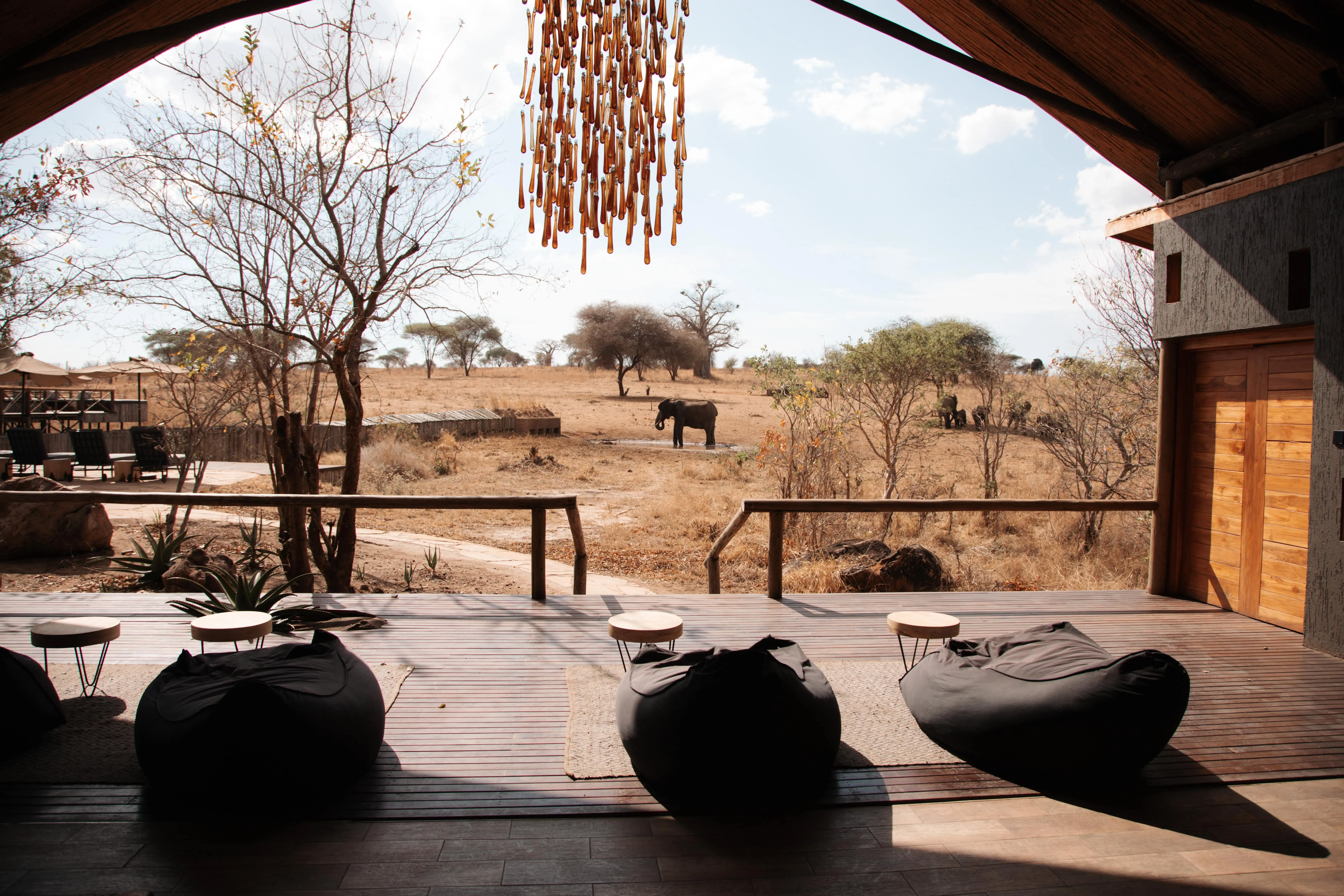 Why Tarangire Is Tanzania’s best-kept secret