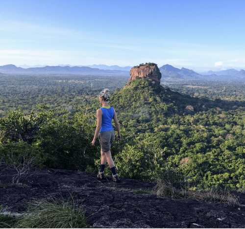 Heather overlooking wilderness expanse.