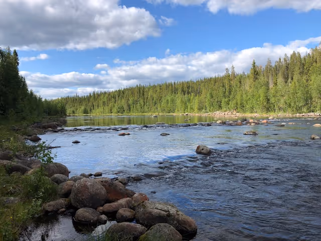 Een foto in de Ardennen van een stromende revier tussen de bossen waar aan vliegvissen kan worden gedaan