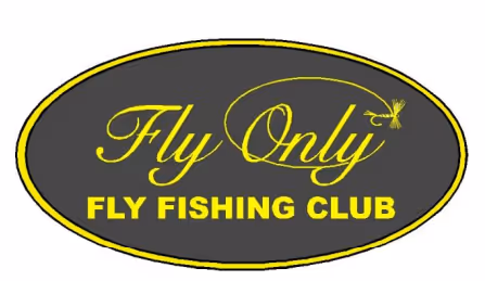 Fly Only -  Broechem (Ranst)