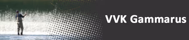 VVK Gammarus - Heusden Zolder