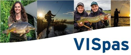 Nederlandse visvergunningen