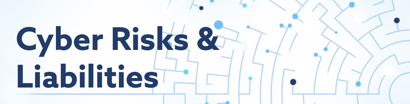 Cyber Risks and Liabilities