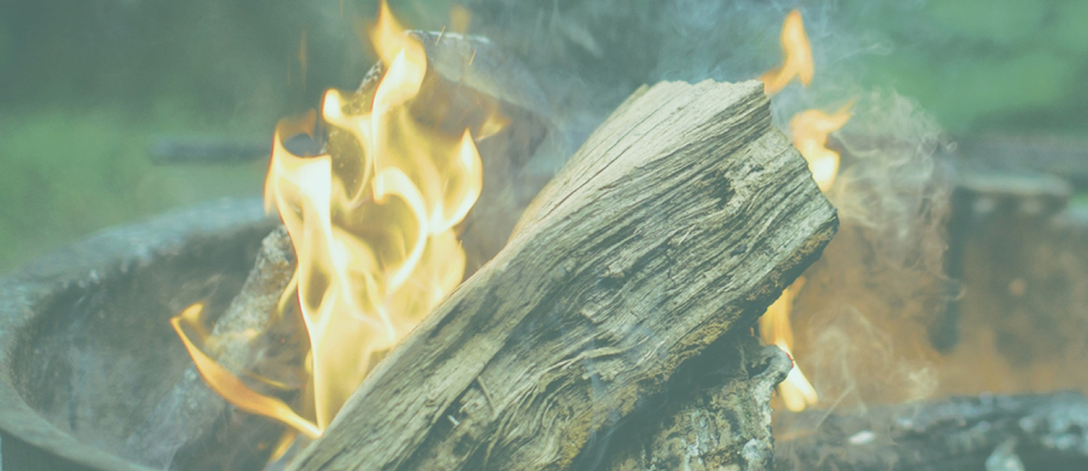 Personal Insurance Fire Safety and Preventing Flu