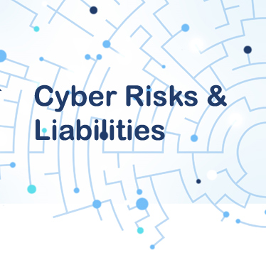 Cyber Risks & Liabilities
