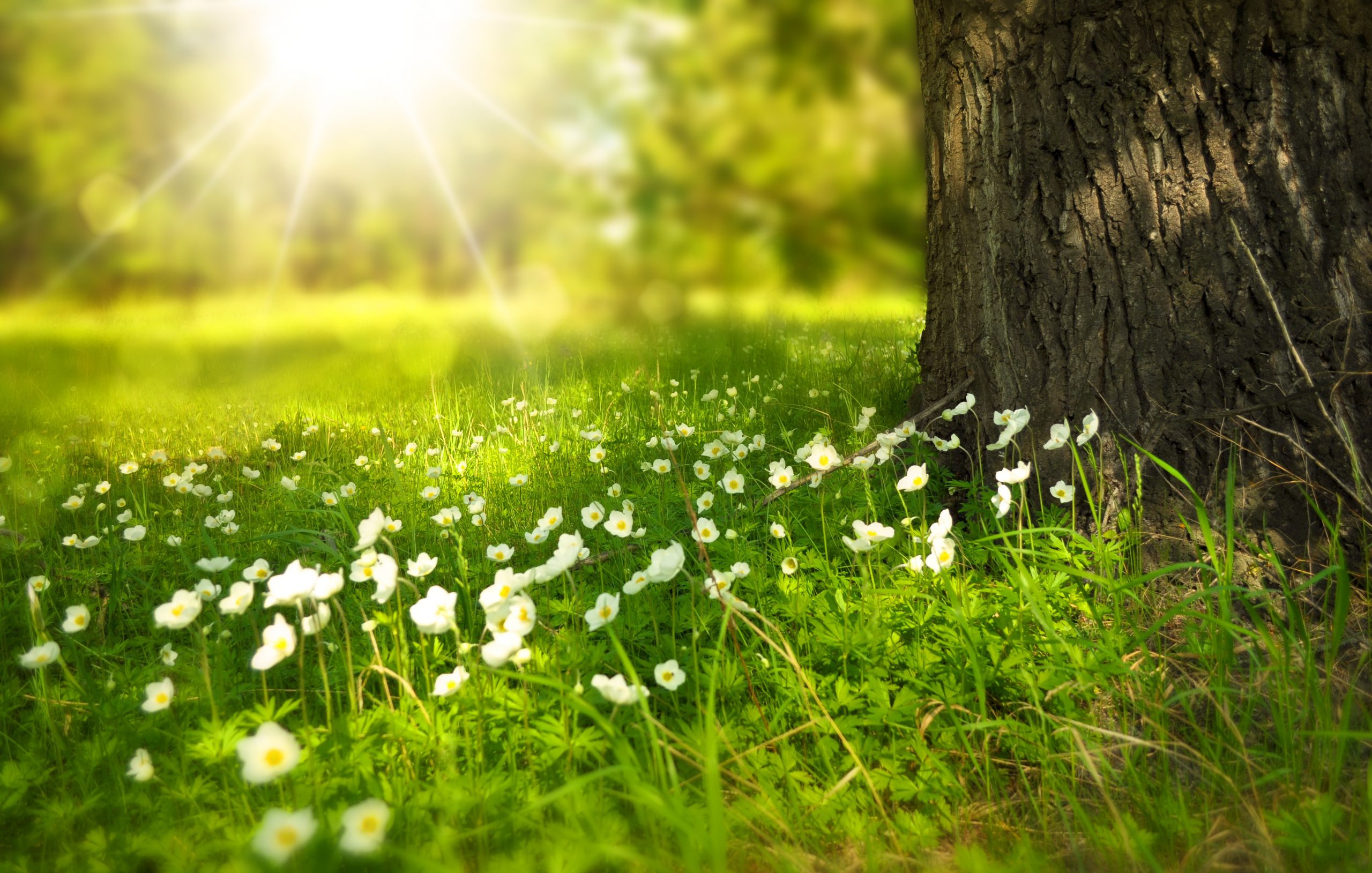 Hot topic: Summer Safety