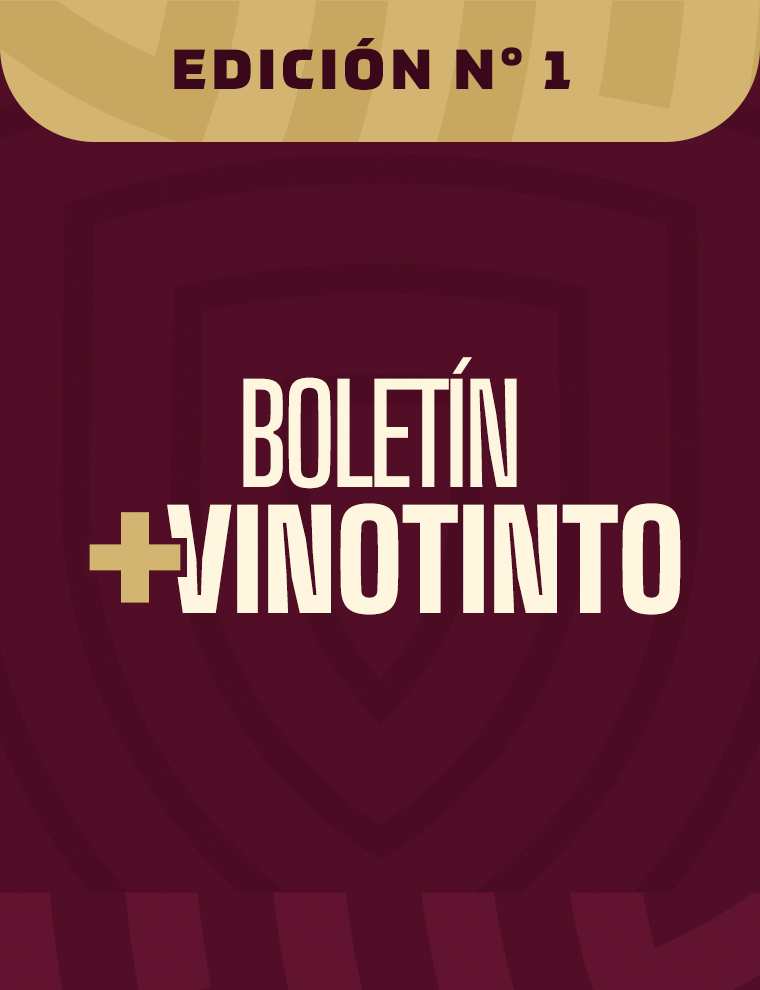 Boletín +Vinotinto | Primera Edición
