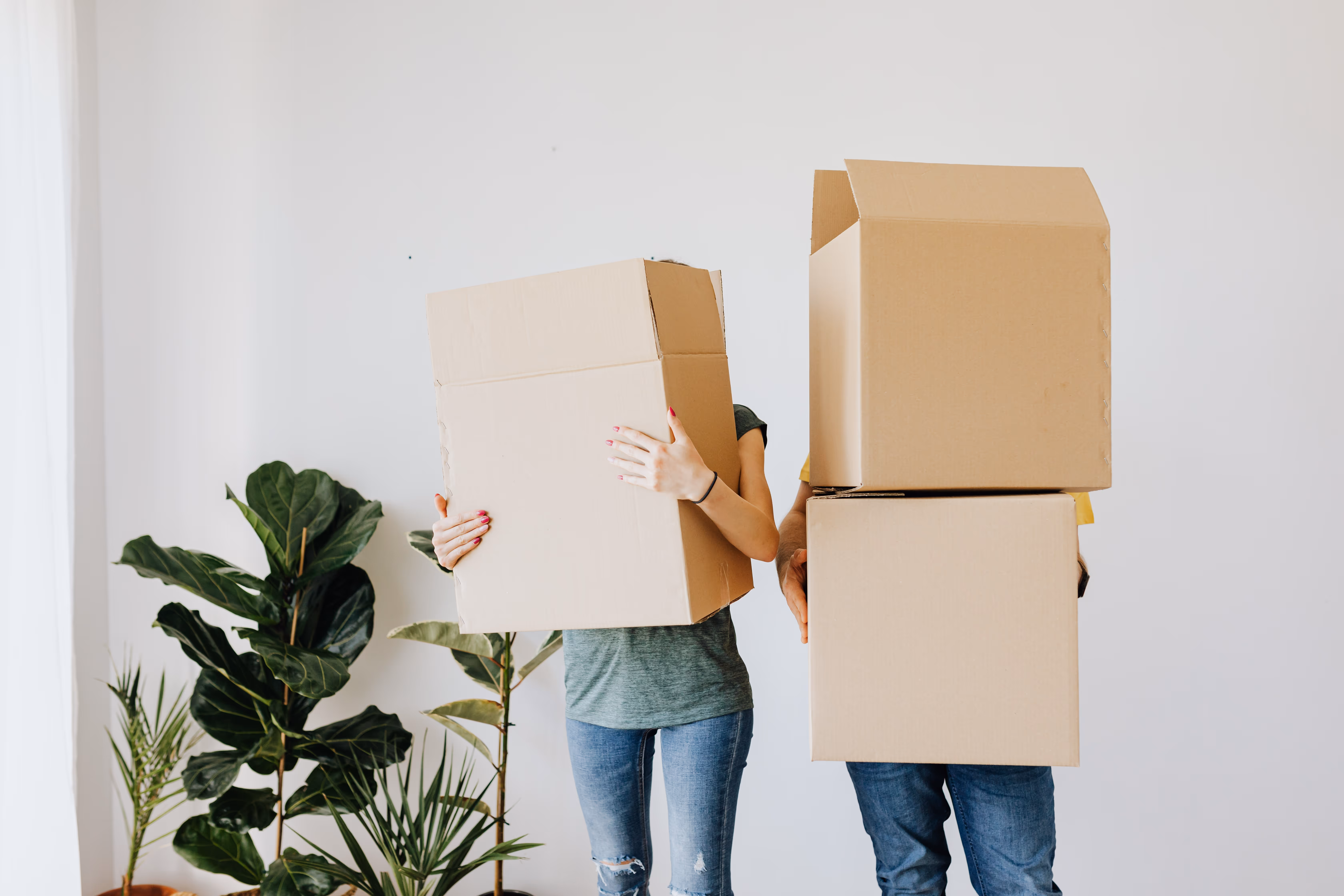 Two people holding large cardboard boxes that obscure their faces, standing indoors near green potted plants.