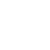 e3 eco icon