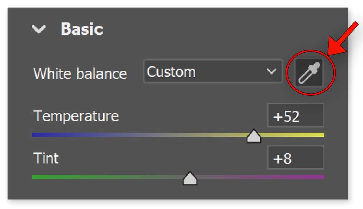 Image 3 - The WB tool in the WB Interface (Adobe Camera Raw)