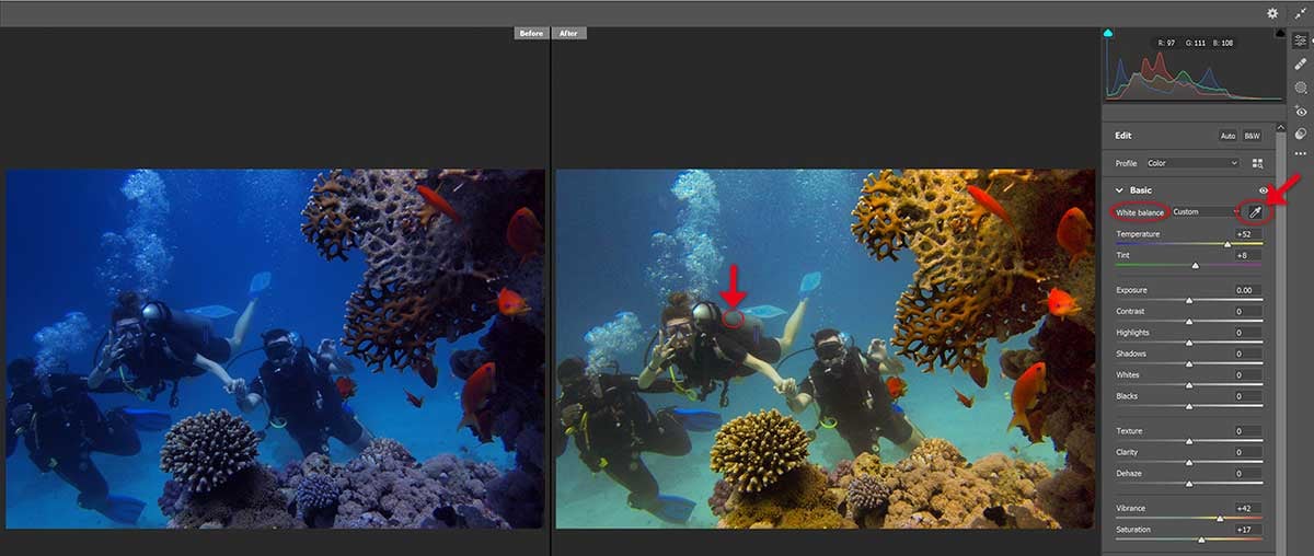 Image 2 - Setting the WB in Adobe Camera Raw (before and after)