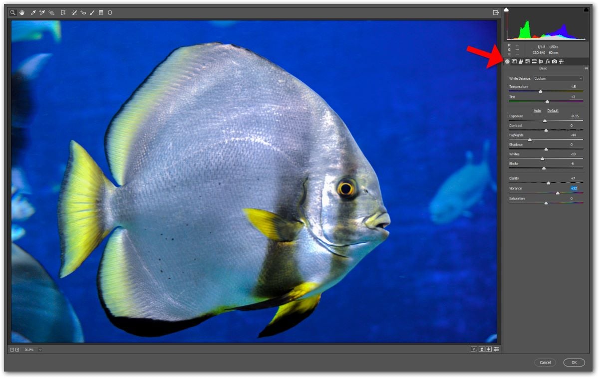 Image 2 - Adobe Camera RAW Converter (Desktop Version