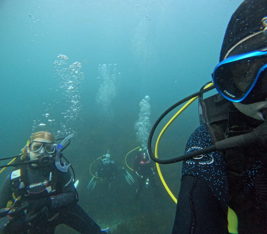 Diving is FUN!
