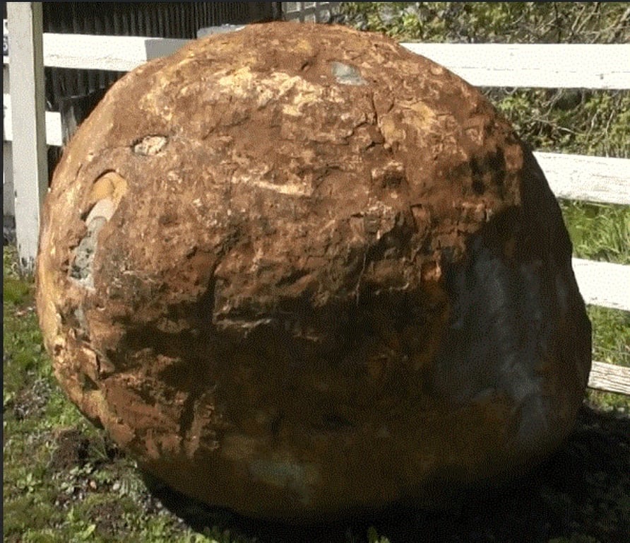 Noel would love to learn more about the curious underwater concretions