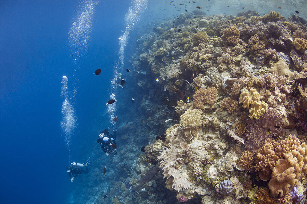 Take a dive trip that's personalised just for you