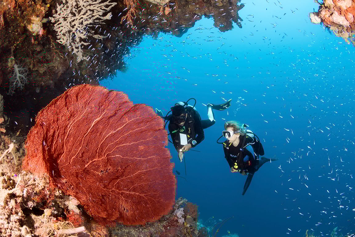 Take an unforgettable private dive