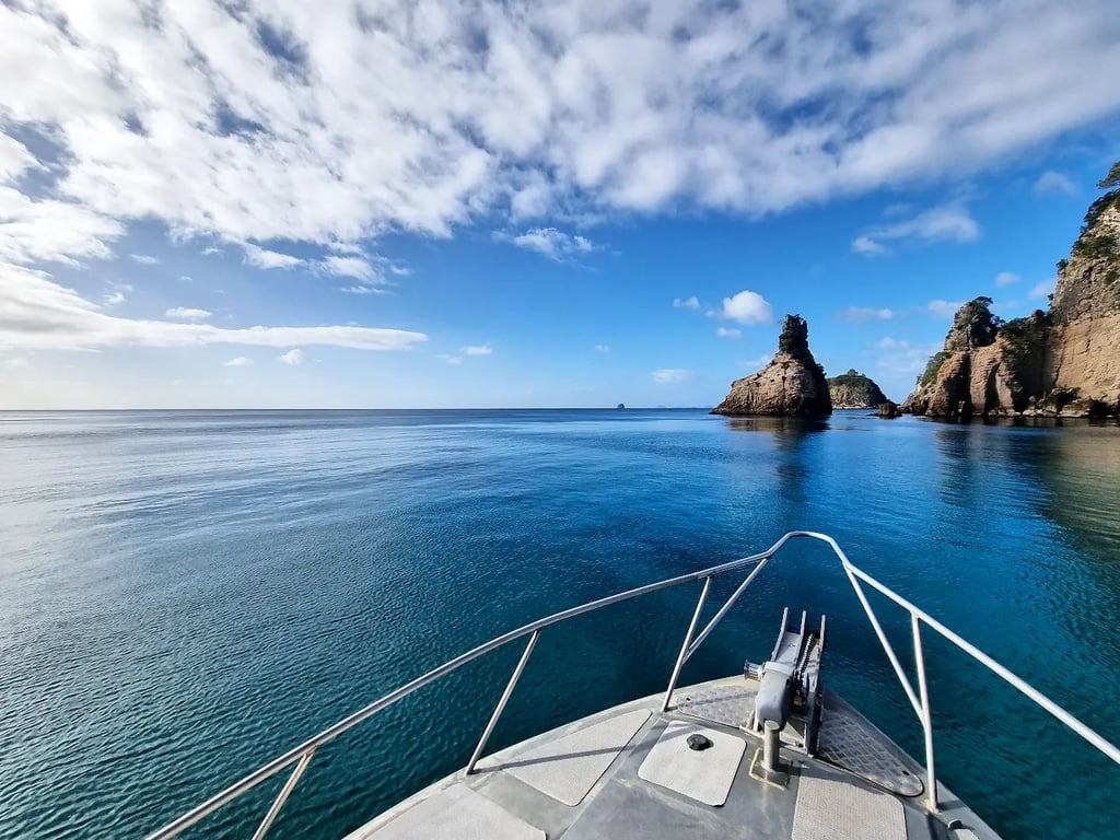 Champagne Rock