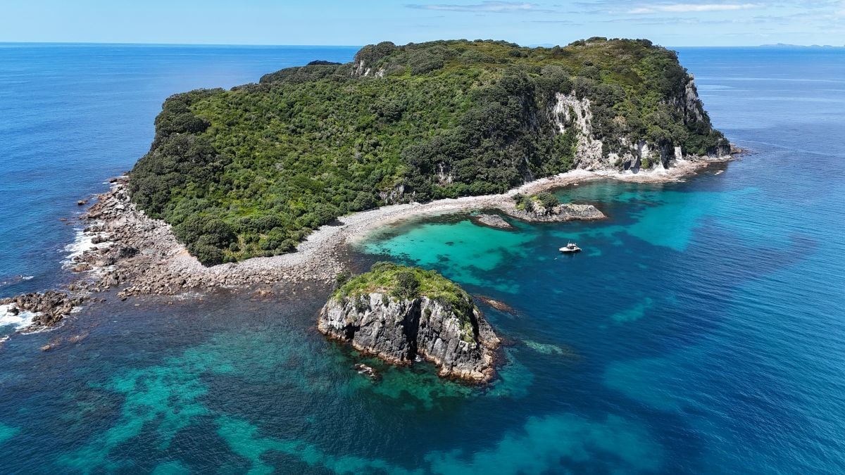 Ohinau Island: Lunch Bay