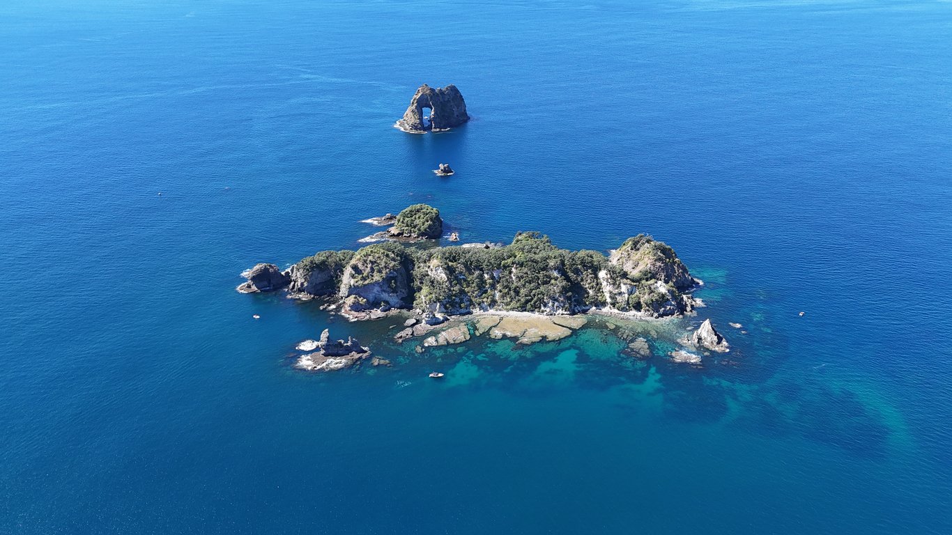 Motukoruenga Island and The Needle
