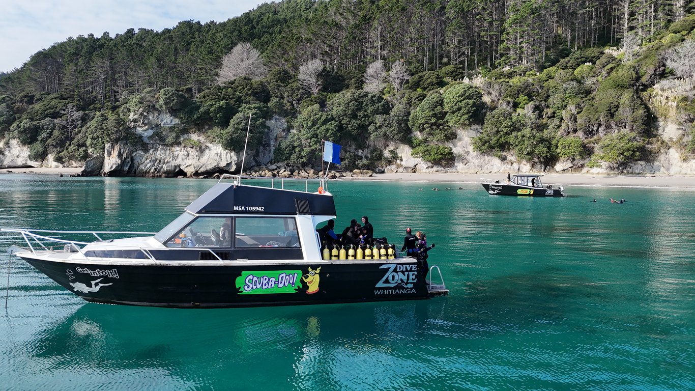 Great Mercury Island: The Cove