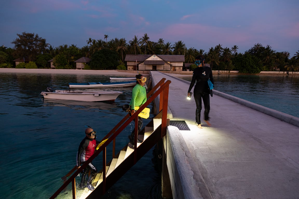 Visit an entirely new underwater world on a night snorkel