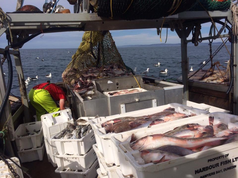 Shane Jones believes commercial fishers are committed to sustainability