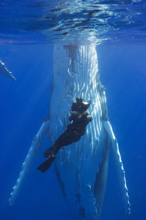 Doug in Tonga with a humpback whale