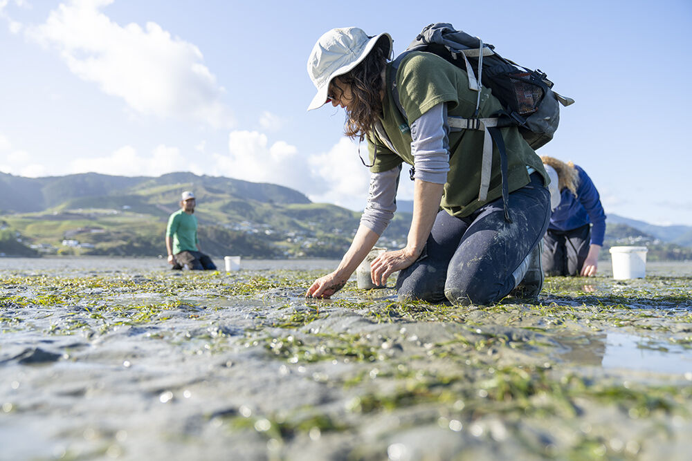 Anna's work includes restoring seagrass, a vital component of a healthy marine environment